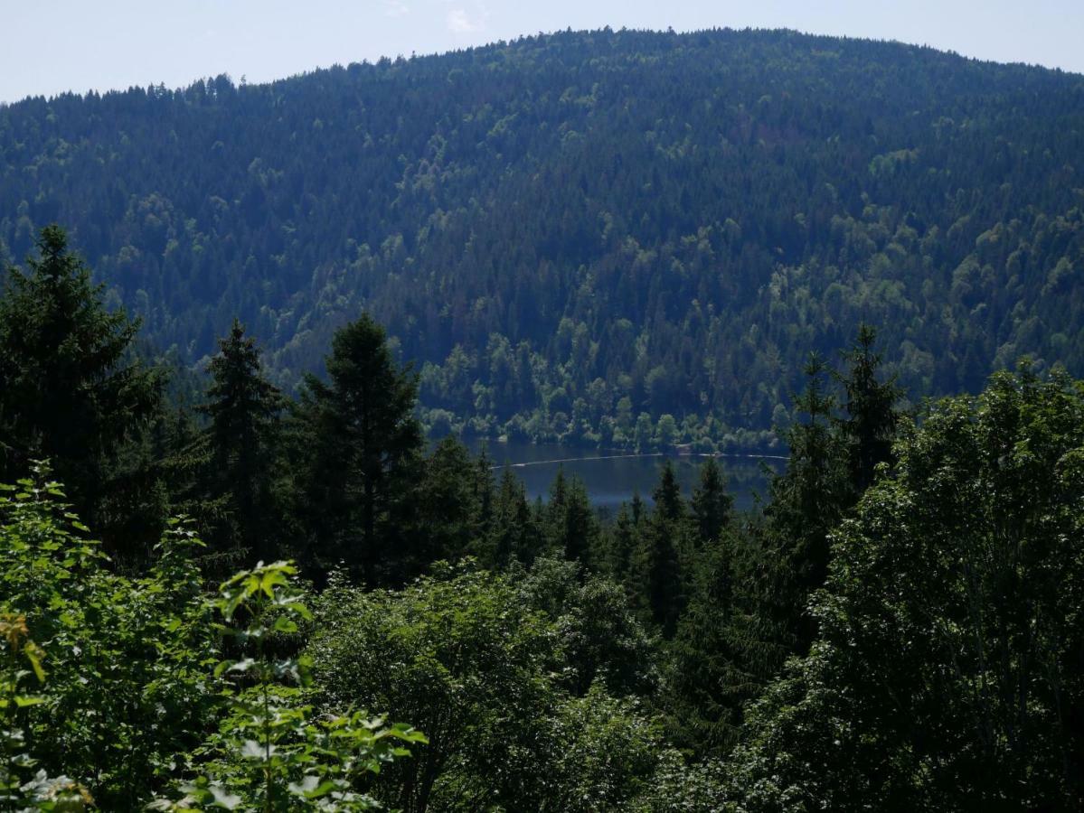 Haus Vita Ferien- Und Seminarhaus Urberg المظهر الخارجي الصورة