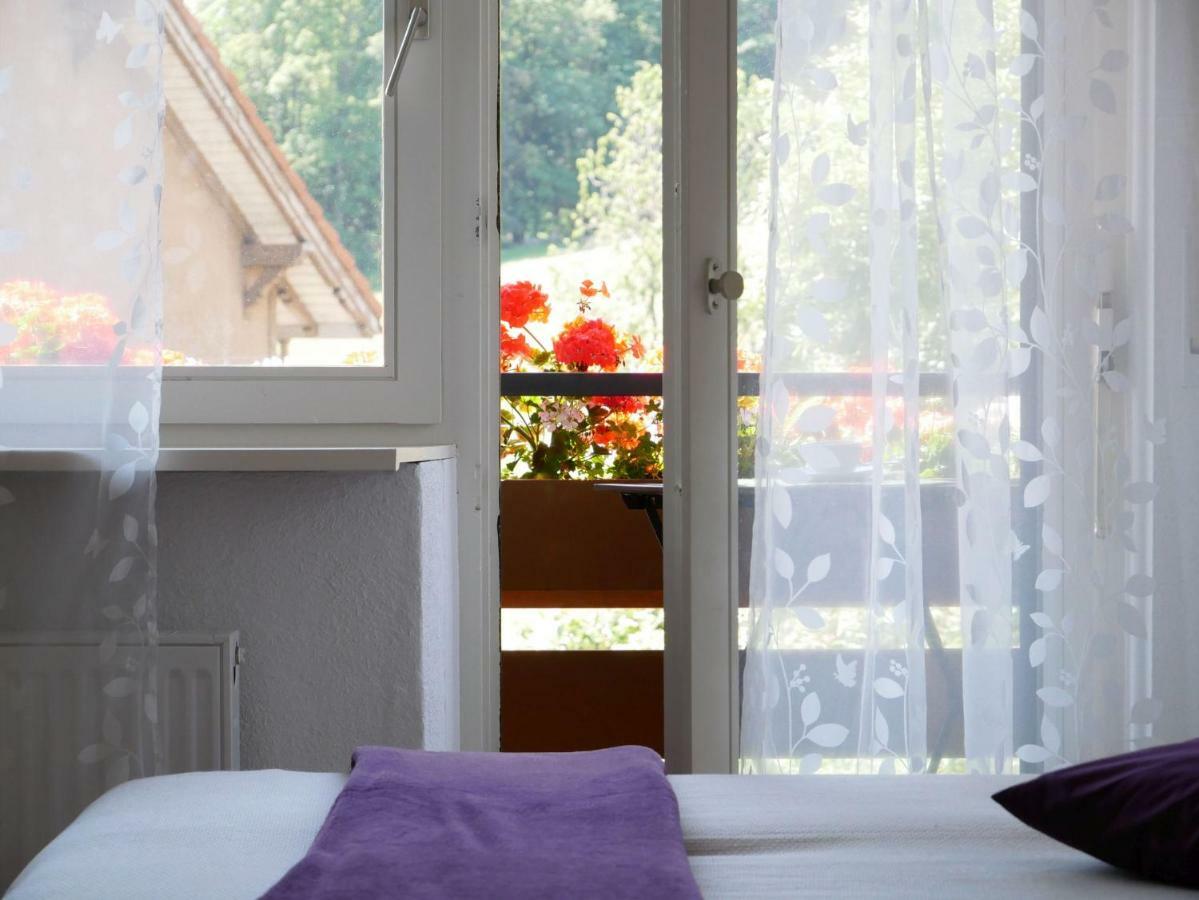 Haus Vita Ferien- Und Seminarhaus Urberg المظهر الخارجي الصورة